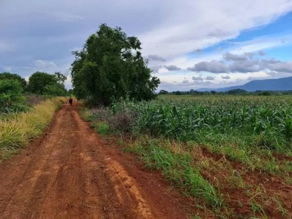 ขายที่ดินวิวขาใหญ่ สวยมาก อยู่หมูสี ใกล้Toscana และถธนะรัชต์ ราคาสวย ที่สวย หายาก