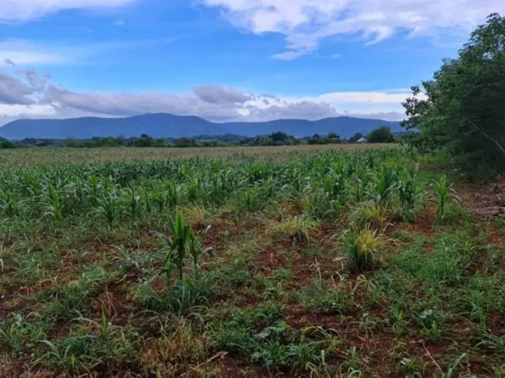 ขายที่ดินวิวขาใหญ่ สวยมาก อยู่หมูสี ใกล้Toscana และถธนะรัชต์ ราคาสวย ที่สวย หายาก