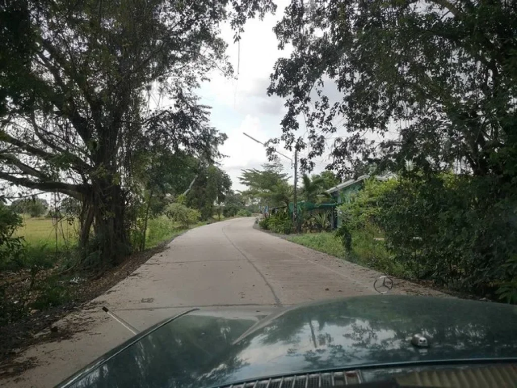 สุรินทร์ ตนอกเมือง อเมือง ขายที่ดิน 1 แปลงสวย ติดถนนคอนกรีตในหมู่บ้านสลักได-ตะเซ่า