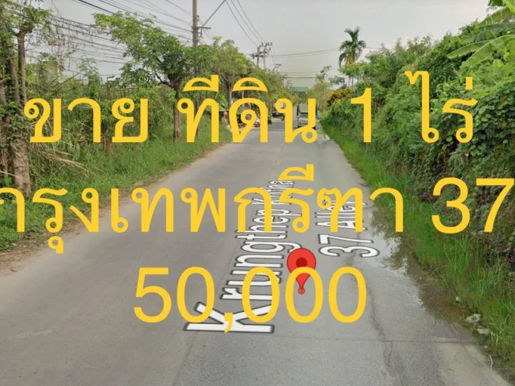 ขายที่ดิน ซอยกรุงเทพกรีฑา 37 แขวงสะพานสูง เขตสะพานสูง ทิศใต้