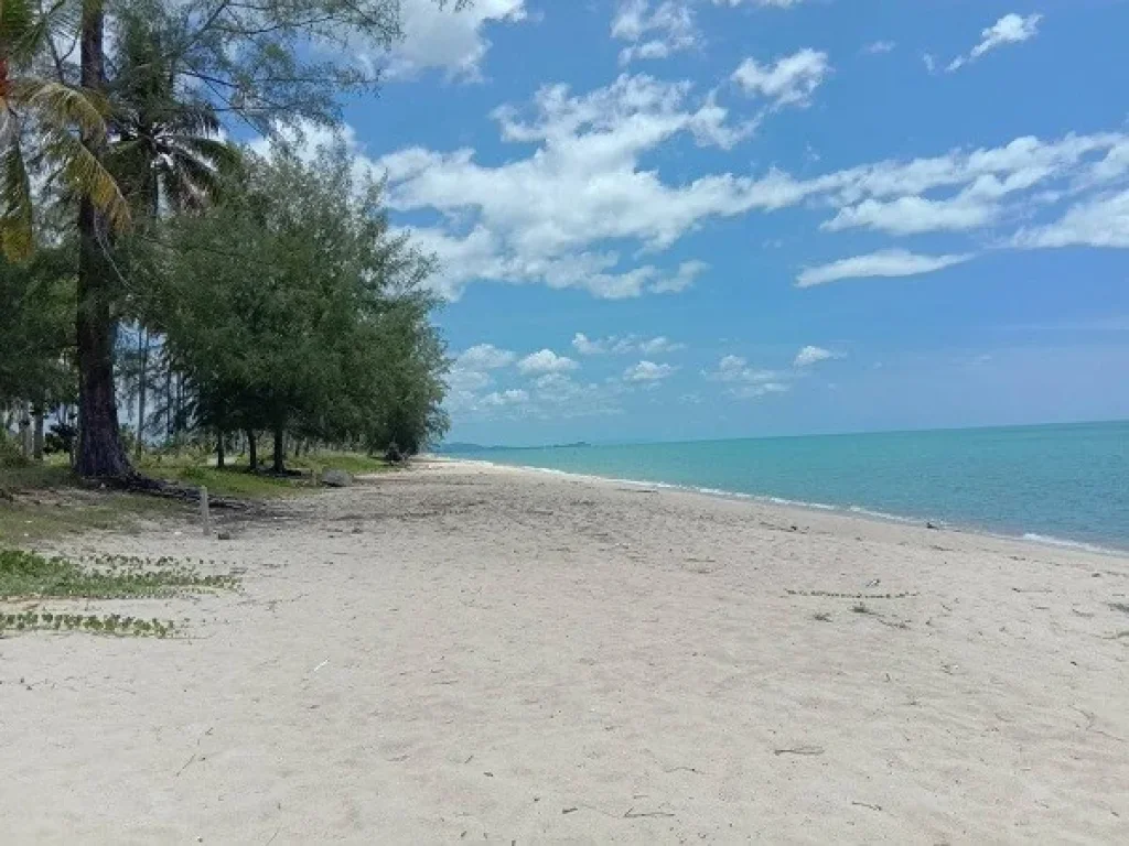 ขายที่ดินติดทะเล หาดเสาเภา ทําเลทอง ใกล้วัดเจดีย์ ไอ้ไข่ อสิชล นครศรีธรรมราช