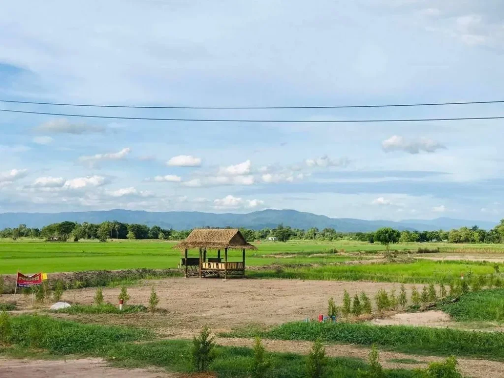 ขายที่ดินบ้านพริก 200 ตรว ใกล้ถนนเส้นสุวรรณศร 33 - 74 กม บ้านนา นครนายก