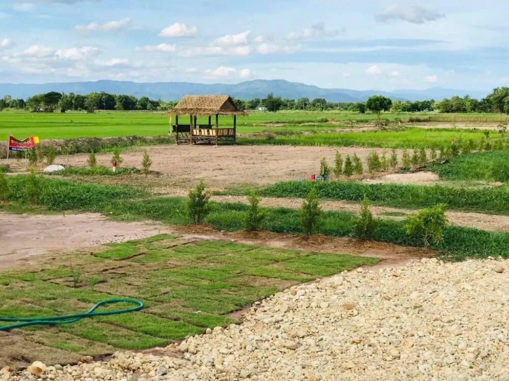 ขายที่ดินบ้านพริก 200 ตรว ใกล้ถนนเส้นสุวรรณศร 33 - 74 กม บ้านนา นครนายก