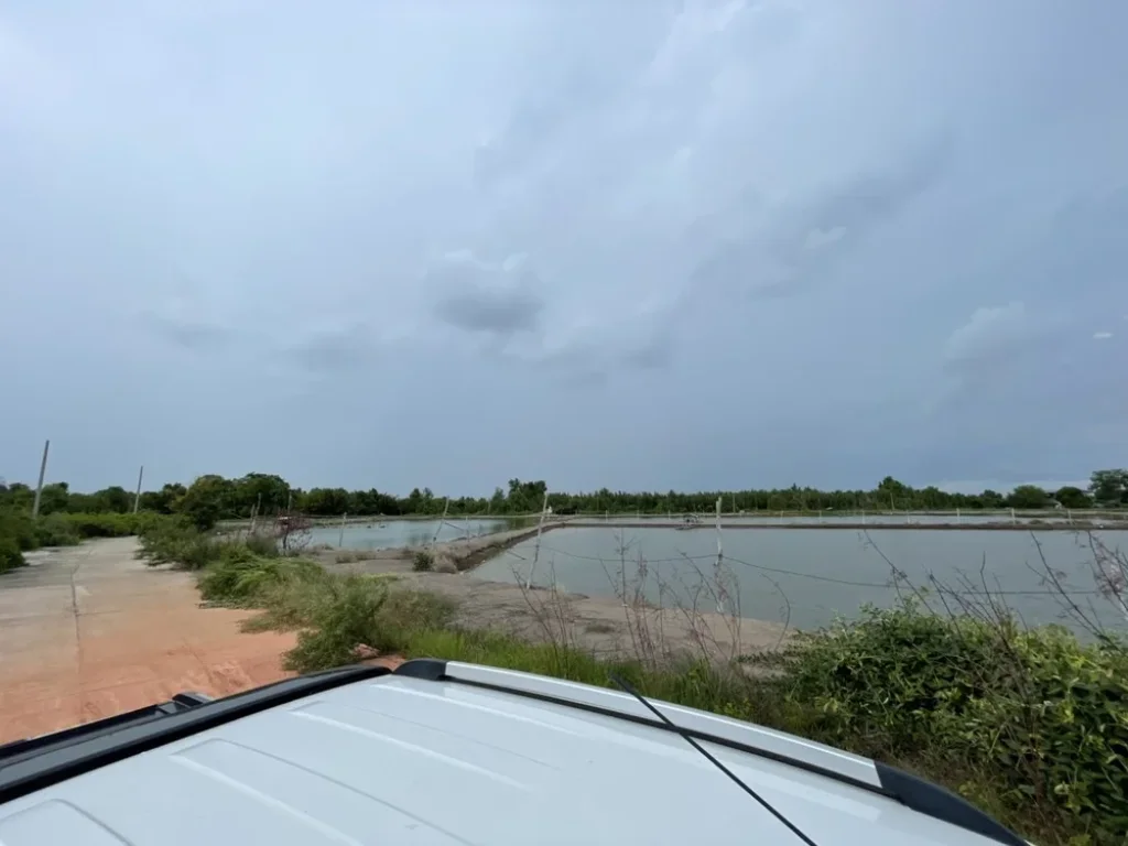 ที่ดินติดริมแม่น้ำบางประกง มีถนนคอนกรีต น้ำ ไฟ