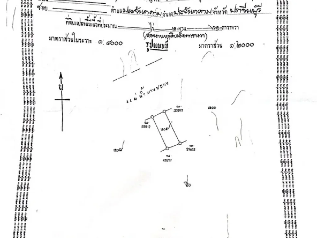 ที่ดินติดริมแม่น้ำบางประกง มีถนนคอนกรีต น้ำ ไฟ