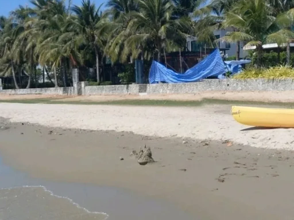 ขายที่ดินติดทะเลหาดแหลมแม่พิมพ์พื้นที่ 2 งานขาย 3 5 ล้านเหมาะสำหรับทำบ้านพักริมทะเลได้ค่ะ