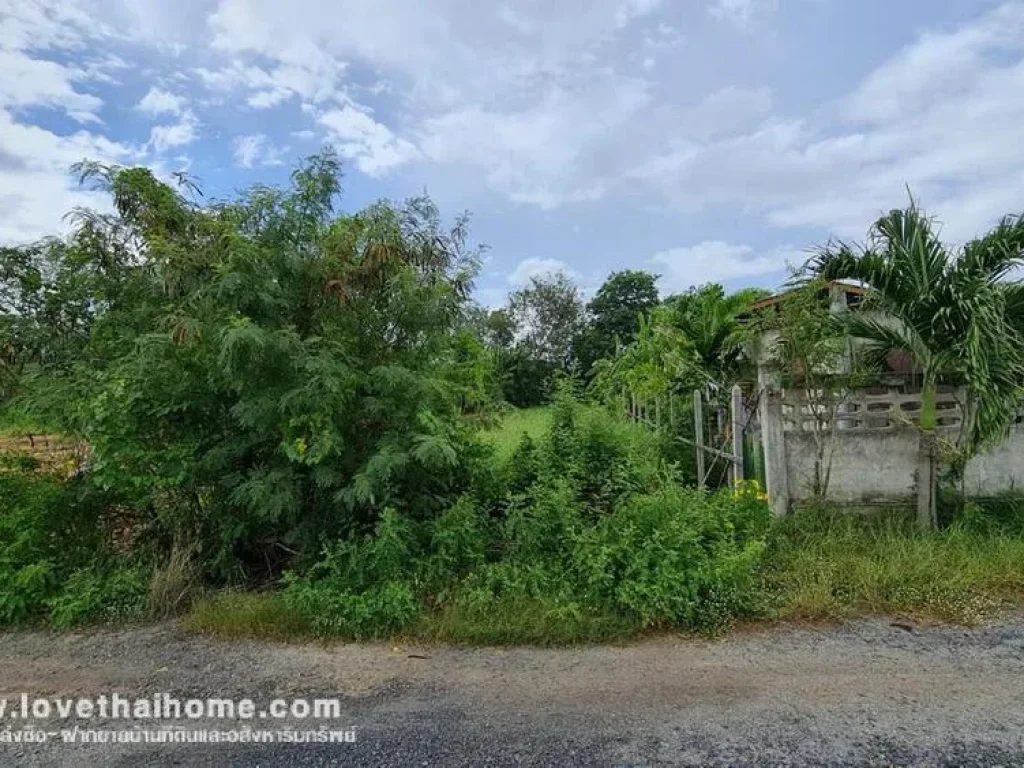 ขายที่ดินในซอยหมู่บ้านเคหะการเกษตร บางใหญ่ นนทบุรี พื้นที่ 99 ตรว ใกล้ห้างเซ็นทรัลพลาซ่า เวสต์เกต