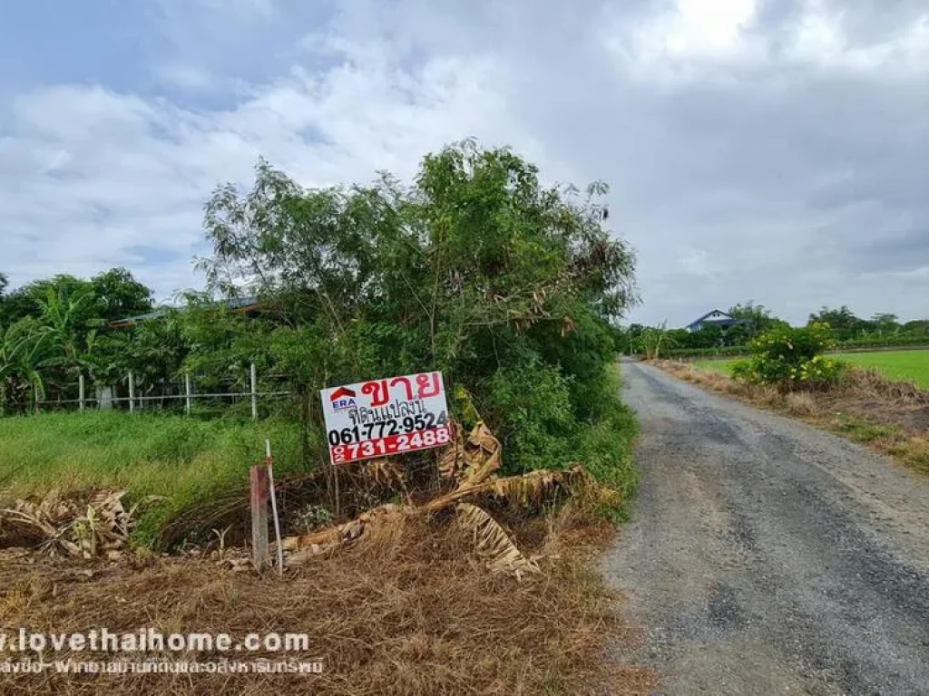 ขายที่ดินในซอยหมู่บ้านเคหะการเกษตร บางใหญ่ นนทบุรี พื้นที่ 99 ตรว ใกล้ห้างเซ็นทรัลพลาซ่า เวสต์เกต