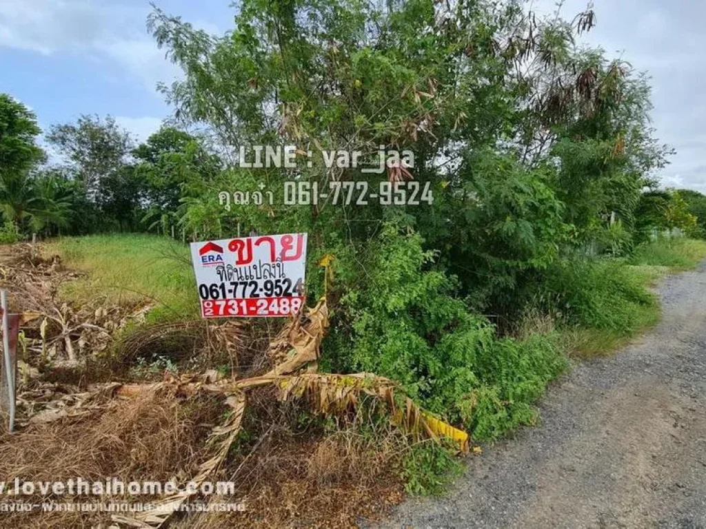 ขายที่ดินในซอยหมู่บ้านเคหะการเกษตร บางใหญ่ นนทบุรี พื้นที่ 99 ตรว ใกล้ห้างเซ็นทรัลพลาซ่า เวสต์เกต