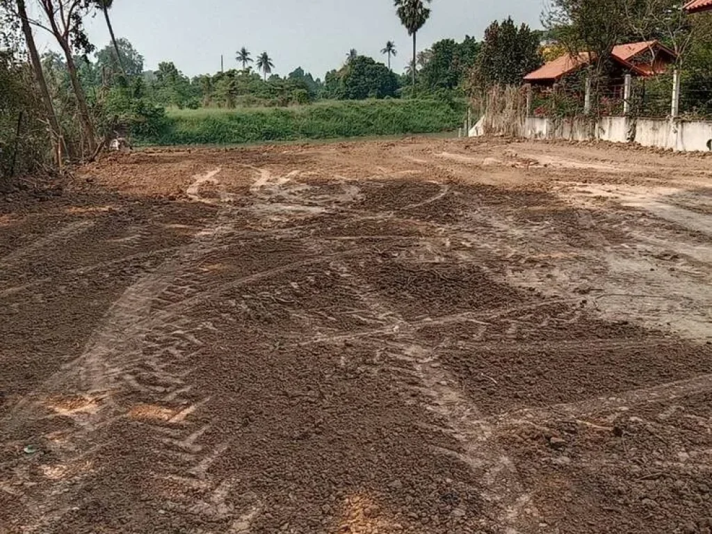 ขายที่ดิน ติดแม่น้ำท่าจีน อำเภอเดิมบาง จังหวัดสุพรรณบุรี