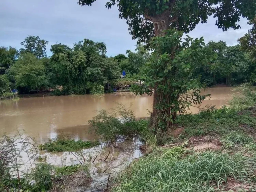 ขายที่ดิน ติดแม่น้ำท่าจีน อำเภอเดิมบาง จังหวัดสุพรรณบุรี