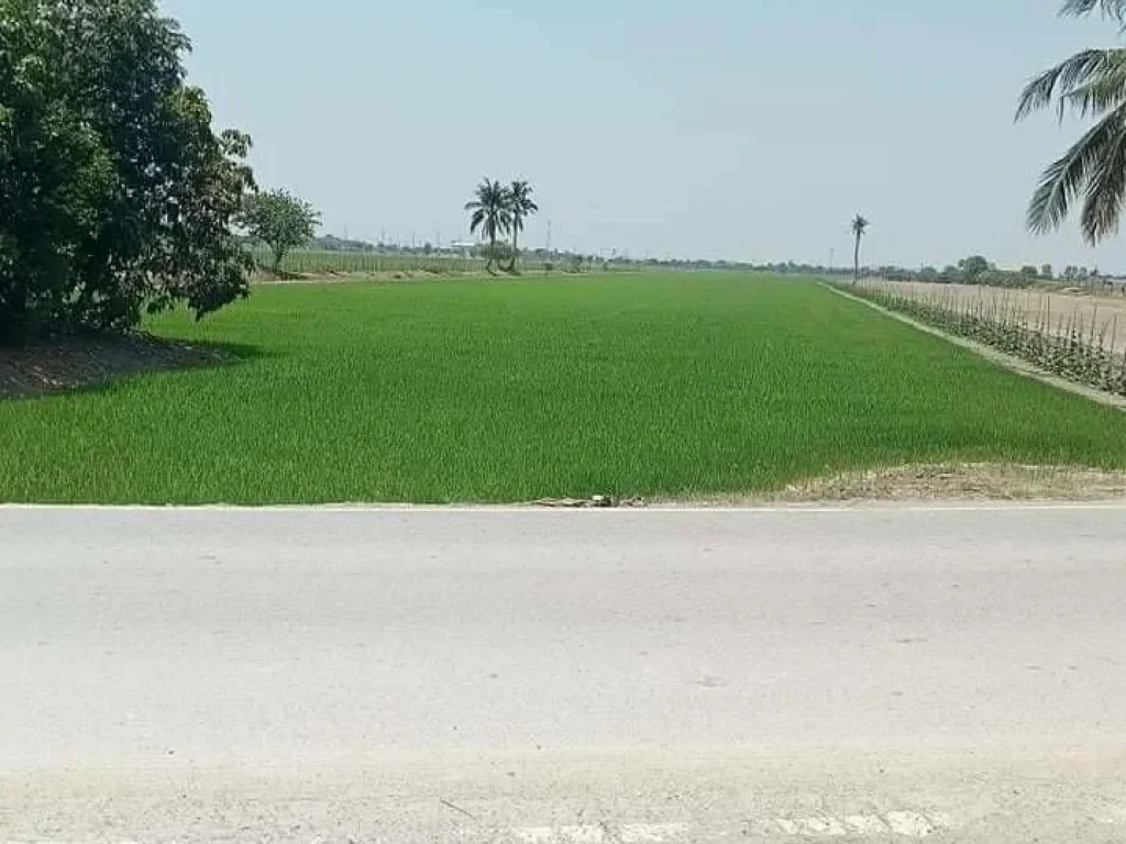 ขายที่ดินติดถนน ซอยวัดพระมอพิสัย ตำบลบางภาษี อำเภอบางเลน จังหวัดนครปฐม