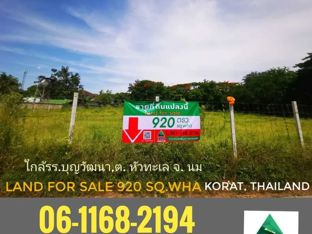 ขายที่ดิน920ตารางวาใกล้โรงเรียนบุญวัฒนา ตหัวทะเล โคราช land for sale 920 sqwha koratThailand