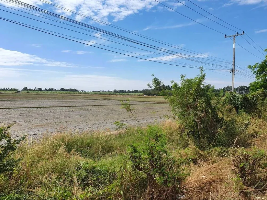 ที่ดินสวย ติดถนนหลวง 3440 อสองพี่น้อง สุพรรณบุรี 25ไร่ 26ตรว ไร่ละ 390000