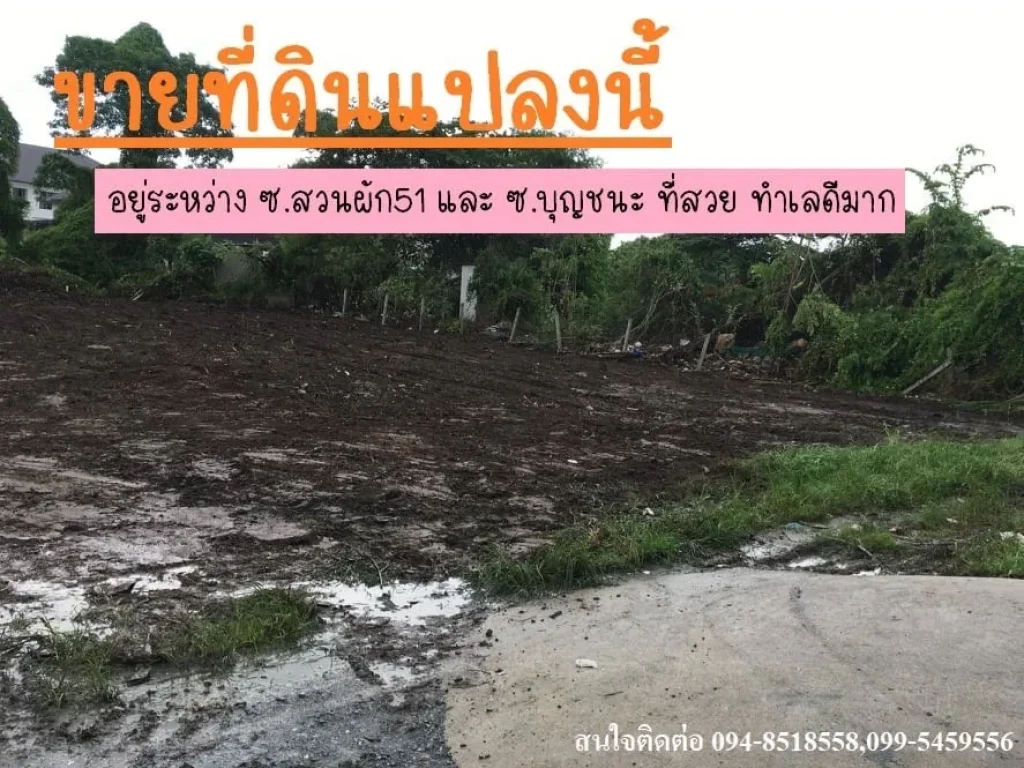 ขายที่ดินเปล่า เนื้อที่ 122 ตรว อยู่ระหว่าง ซสวนผัก51 และ ซบุญชนะ ที่สวย ทำเลดีมาก