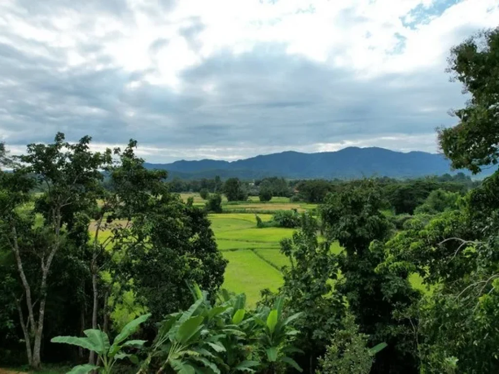 ที่ดินวิวสวยมาก บรรยากาศร่มรื่น มีสวนผสมผสาน อเมืองน่าน จน่าน