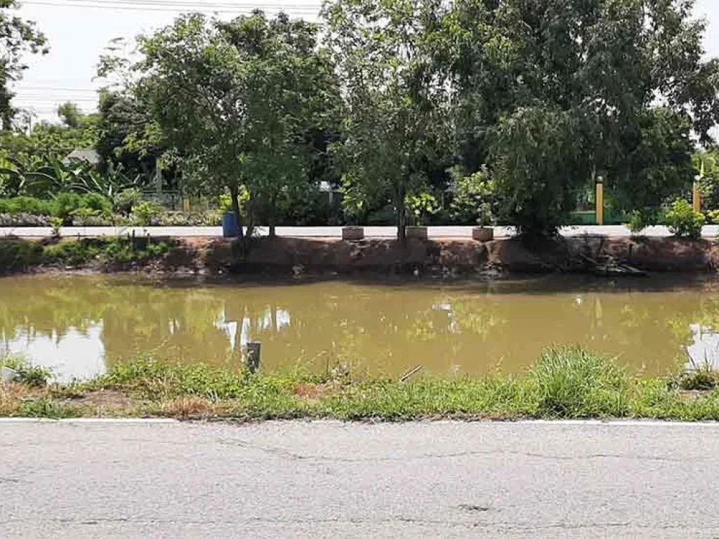 ขายที่ดินพร้อมบ้านชั้นเดียว ติดถนน ติดคลองชลประทาน ท่าระหัด เมืองสุพรรณบุรี