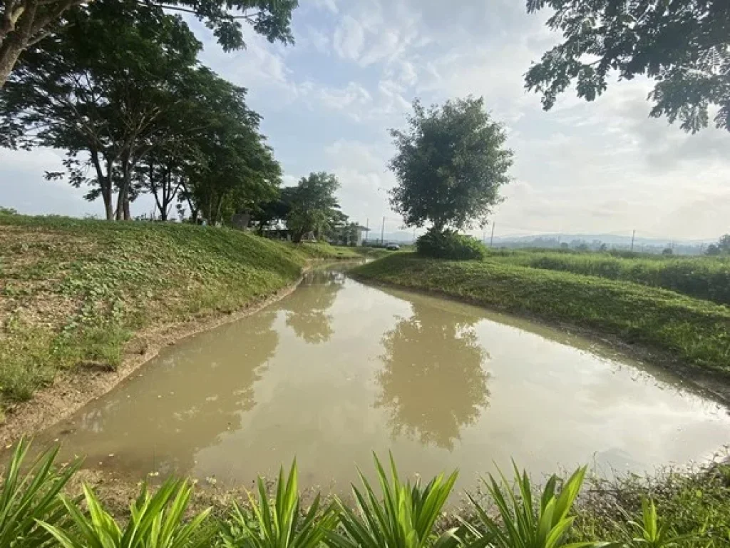 ขายที่ดินสวยพัฒนาแล้ว พร้อมสร้างบ้าน วิวภูเขาและทุ่งนาล้อมรอบ 1 ไร่ 41 ตรว