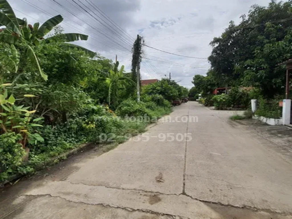 ขายที่ดินพร้อมสิ่งปลูกสร้าง พิมานปรีดา ท่าอิฐ-ไทรม้า ถนนรัตนาธิเบศร์ อำเภอปากเกร็ด นนทบุรี