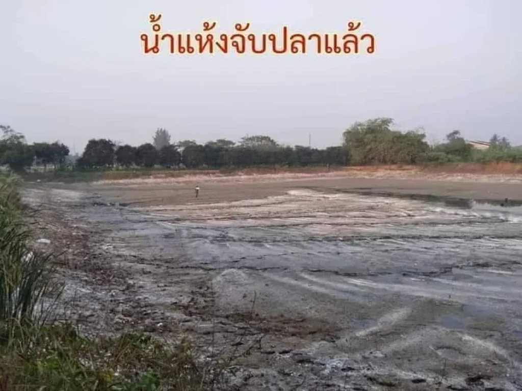 ขายบ้านและที่ดิน ใกล้ทางด่วนมอเตอร์เวย์ บางใหญ่-กาญจนบุรี