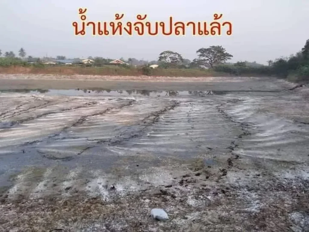 ขายบ้านและที่ดิน ใกล้ทางด่วนมอเตอร์เวย์ บางใหญ่-กาญจนบุรี