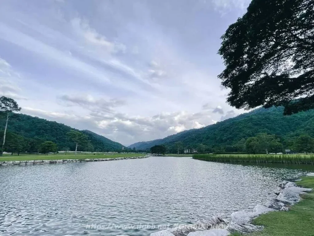 ขายบ้านพักตากอากาศเขาใหญ่ บ้านริมทะเลสาปในหุบเชา ติดอุทยานแห่งชาติเขาใหญ่ เส้นธนะรัชต์ หมูสี อยู่ตรงทางขึ้นอุทยาน วิวเขาสวยมาก เหลือเพียง 2 หลัง