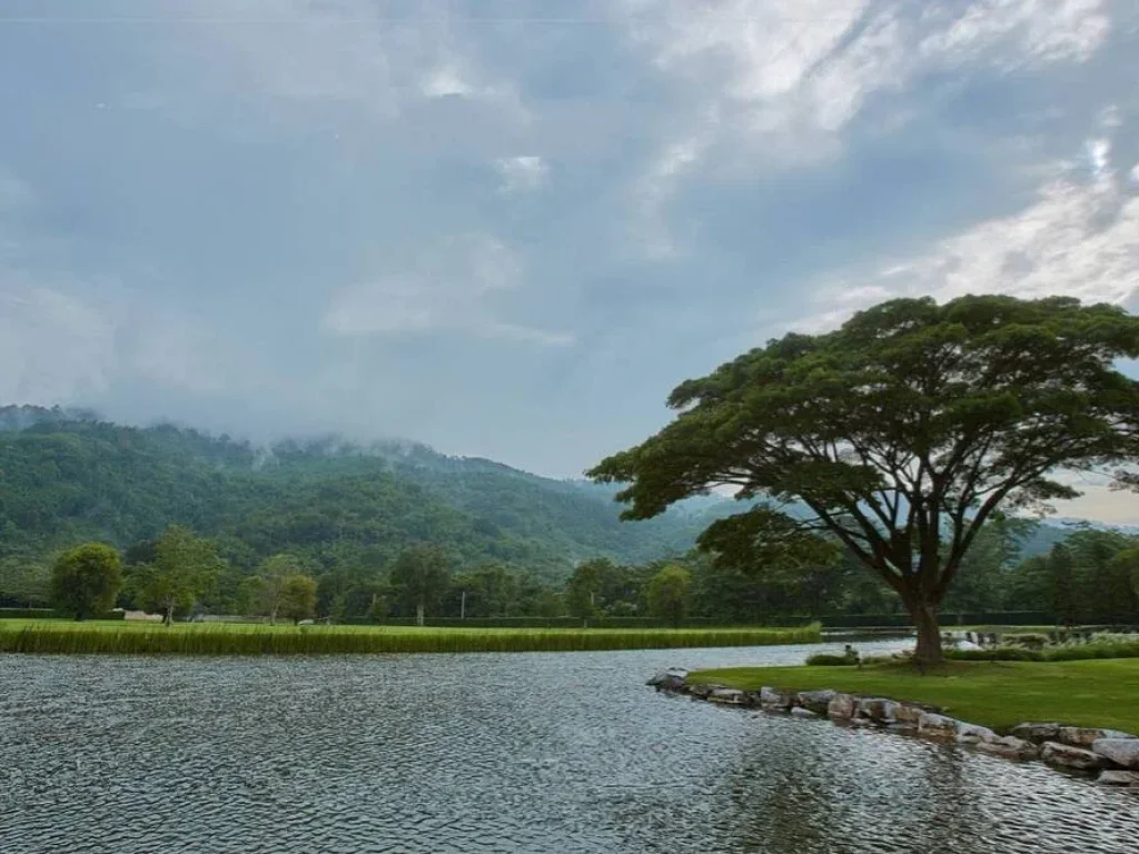 ขายบ้านพักตากอากาศเขาใหญ่ บ้านริมทะเลสาปในหุบเชา ติดอุทยานแห่งชาติเขาใหญ่ เส้นธนะรัชต์ หมูสี อยู่ตรงทางขึ้นอุทยาน วิวเขาสวยมาก เหลือเพียง 2 หลัง