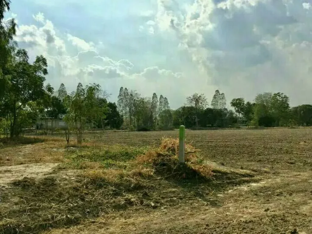 ขายที่ดินติดถนนลาดยาง โฉนดพร้อมโอน ในอำเภอดอนเจดีย์ จังหวัดสุพรรณบุรี