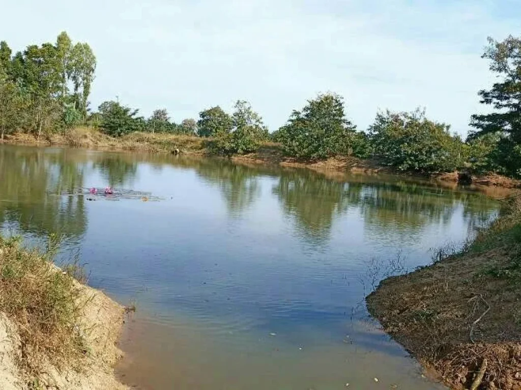 ขายที่ดินติดถนนลาดยาง โฉนดพร้อมโอน ในอำเภอดอนเจดีย์ จังหวัดสุพรรณบุรี