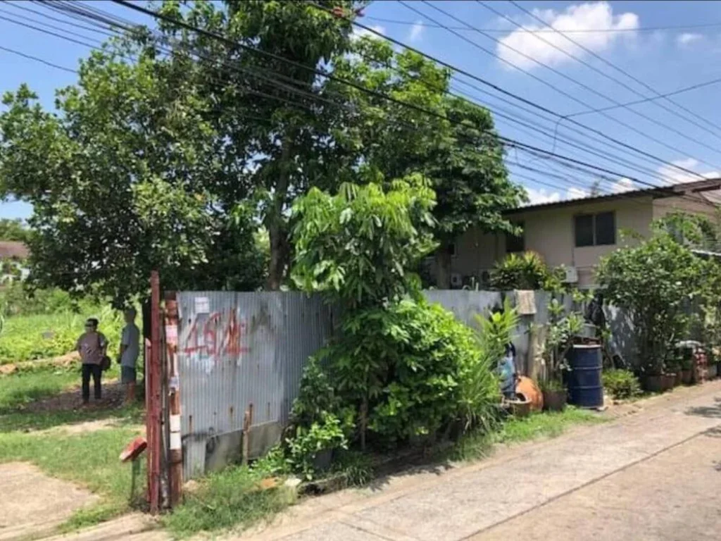 ด่วน ขายถูก ขายที่ดินสุขุมวิท 101 ปุณณวิถี 37 ขนาด 98 ตรว แปลงสวย ทำเลดี ใกล้บีทีเอสปุณณวิถี บางจาก ใกล้ทางด่วนสุขุมวิท 62 ไปศรีนครินทร์ ซีคอนสแควร์