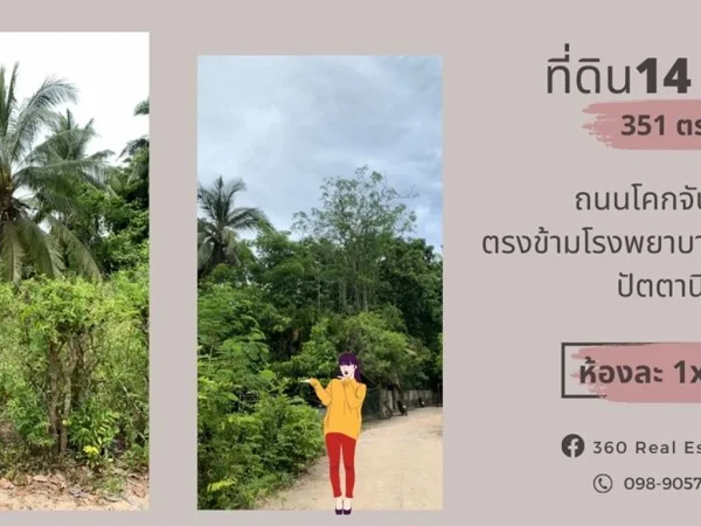 ที่ดิน 13 ห้อง 351 ตรว พิกัด ถนนโคกจันทร์ หนองจิก ตรงข้ามรพหนองจิก