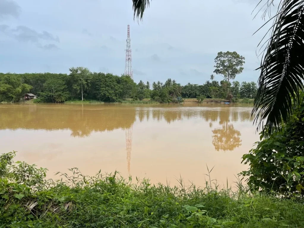 ขายที่ดินโครงการริมสะพานแม่น้ำพุมดวง - ถนนเอเชีย ตท่าโรงช้าง อพุนพิน สุราษฎร์