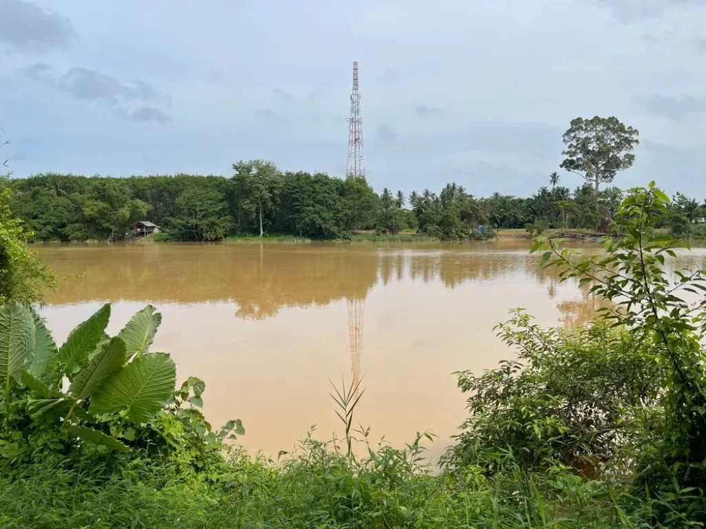 ขายที่ดินโครงการริมสะพานแม่น้ำพุมดวง - ถนนเอเชีย ตท่าโรงช้าง อพุนพิน สุราษฎร์