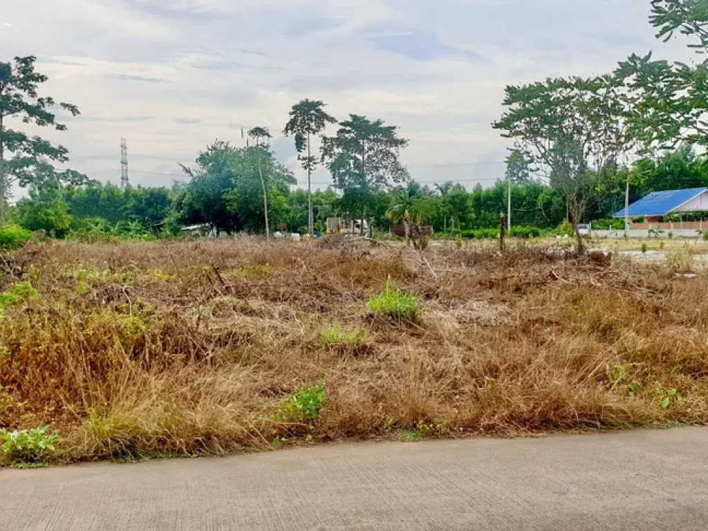 ขายที่ดินชลบุรี 1 ไร่ ถมแล้ว ตท่าบุญมี อเกาะจันทร์ ใกล้อ่างเก็บน้ำรัชชโลทร ติดถนน Flash Sales ตค65