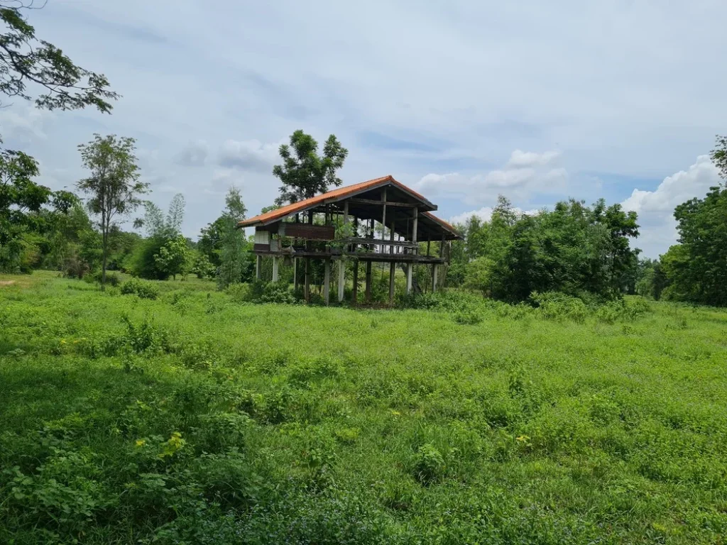 ที่ดินแบ่งขายบ้านโนนเรือง ไร่ละ 650000 บาท ใกล้ถนนเลี่ยงเมือง