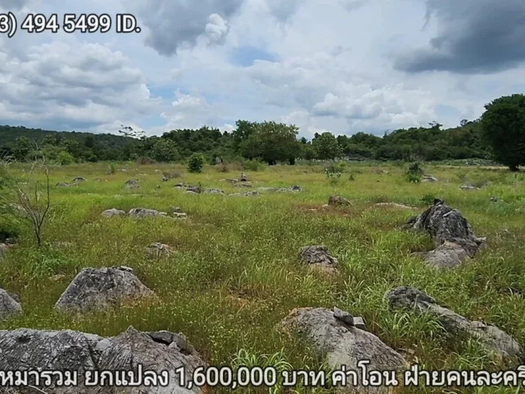 ที่ดินเขาใหญ่ ตัดใจไม่แพง 2ไร่ 16ล้าน หน้า My Ozone ต วังไทร อ ปากช่อง