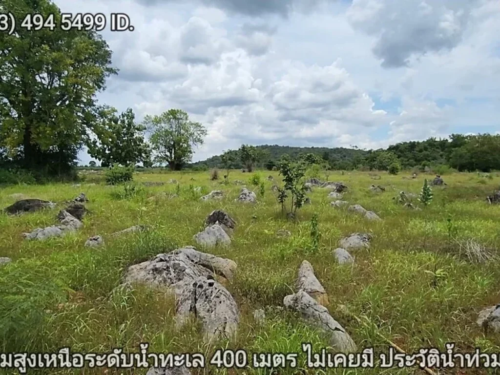 ที่ดินเขาใหญ่ ตัดใจไม่แพง 2ไร่ 16ล้าน หน้า My Ozone ต วังไทร อ ปากช่อง