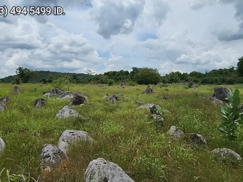 ที่ดินเขาใหญ่ ตัดใจไม่แพง 2ไร่ 16ล้าน หน้า My Ozone ต วังไทร อ ปากช่อง