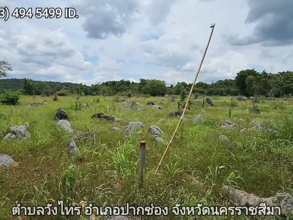 ที่ดินเขาใหญ่ ตัดใจไม่แพง 2ไร่ 16ล้าน หน้า My Ozone ต วังไทร อ ปากช่อง