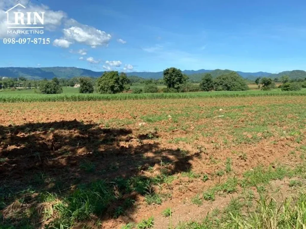 ขายที่ดินเขาใหญ่ ติดถนน วิวเขาล้อมรอบ บรรยากาศดี ตหมูสี อปากช่อง จนครราชสีมา