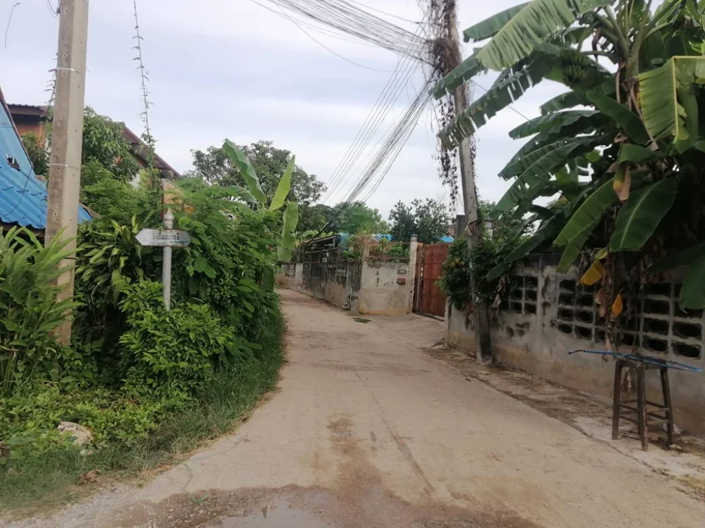 ขายที่ดิน 231ตรว อยู่ถนนตรงกันข้ามกับทางเข้าสถานีรถไฟบ้านเต็งหนาม เมืองพิษณุโลก