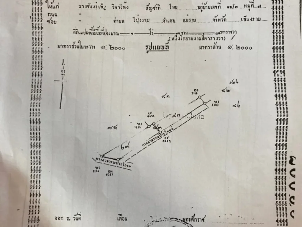 ขายด่วนที่ดินเปล่า บ้านสันเกล็ดทอง อแม่สาย เชียงราย