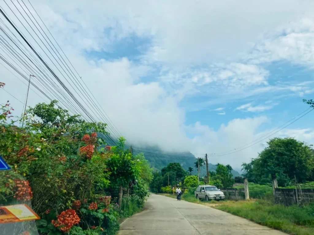 ขายด่วนที่ดินเปล่า บ้านสันเกล็ดทอง อแม่สาย เชียงราย