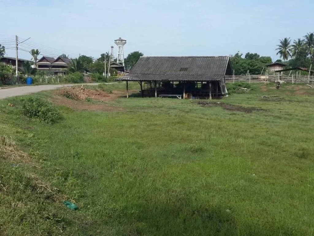 ขาย ที่ดินเปล่า สวยมาก บรรยากาศดี ทำเลเยี่ยม บางแพ ราชบุรี