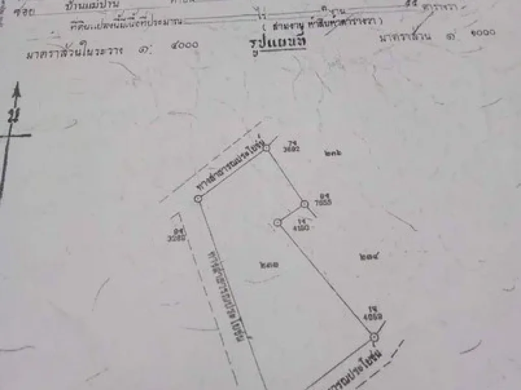 โซนแม่แจ่ม บ้านแม่ปาน อำเภอแม่แจ่ม จเชียงใหม่ ลักษณะเป็นเนินดอย