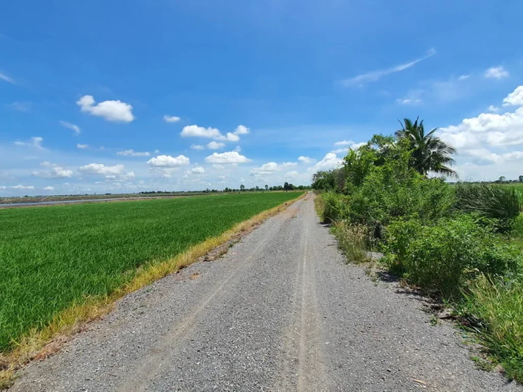 วิวธรรมชาติ ใกล้ กรุงเทพ Vายราคาถูก ฮวงจุ้ยดี ติดคลองชลประทานดิน ติดทางสาธารณะ พื้นที่ 72 ไร่