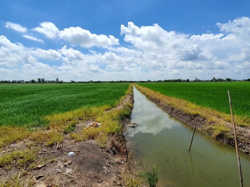 วิวธรรมชาติ ใกล้ กรุงเทพ Vายราคาถูก ฮวงจุ้ยดี ติดคลองชลประทานดิน ติดทางสาธารณะ พื้นที่ 72 ไร่