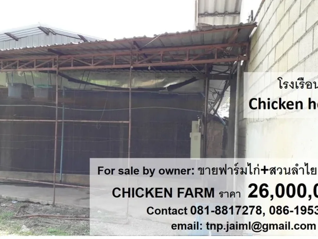 ขายฟาร์มไก่ ตำบลบ้านกลาง อำเภอสันป่าตอง จังหวัดเชียงใหม่ POULTRY CHICKEN FARM FOR SALE by owner