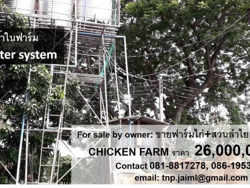 ขายฟาร์มไก่ ตำบลบ้านกลาง อำเภอสันป่าตอง จังหวัดเชียงใหม่ POULTRY CHICKEN FARM FOR SALE by owner