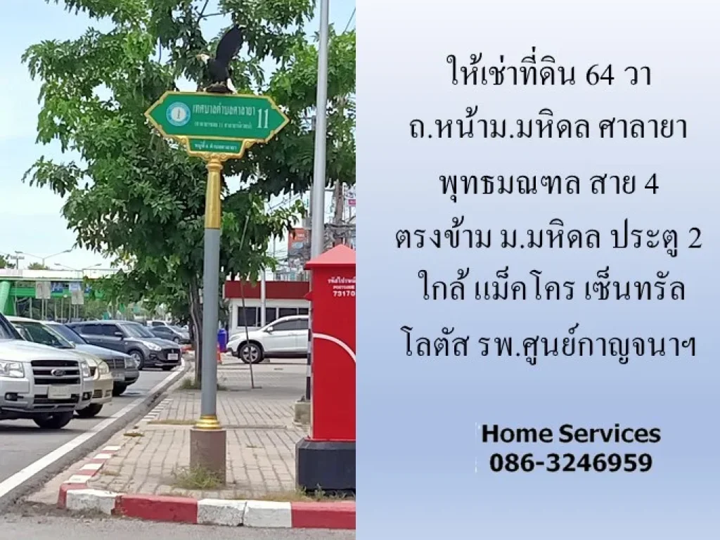 ให้เช่าที่ดิน ถหน้ามมหิดล ศาลายา พุทธมณฑล สาย 4 ที่ดิน 64 วา ตรงข้าม มมหิดล ประตู 2 ใกล้ แม็คโคร เซ็นทรัล โลตัส รพศูนย์กาญจนาฯ